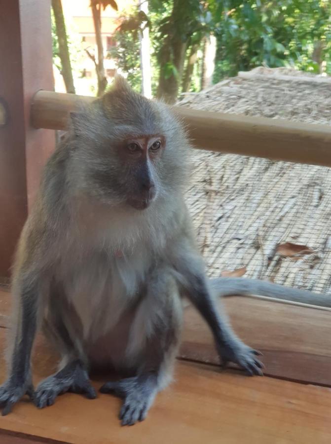 Kalulushi Bungalows パンガン島 エクステリア 写真