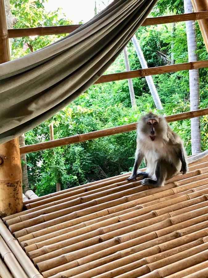 Kalulushi Bungalows パンガン島 エクステリア 写真